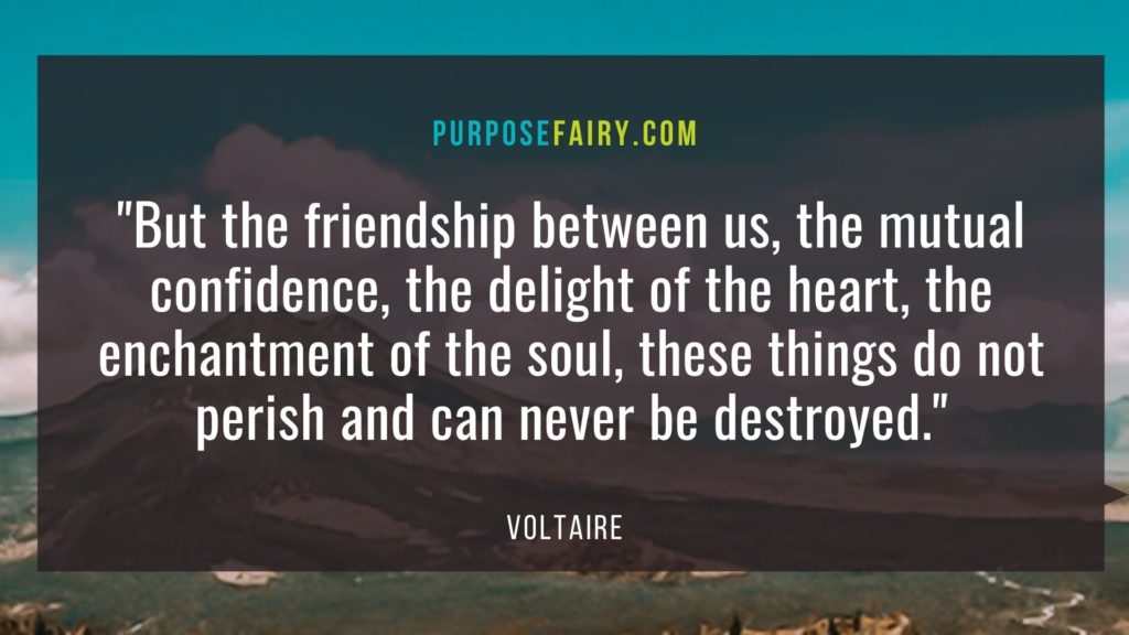 40 Life-Changing Lessons to Learn from Voltaire