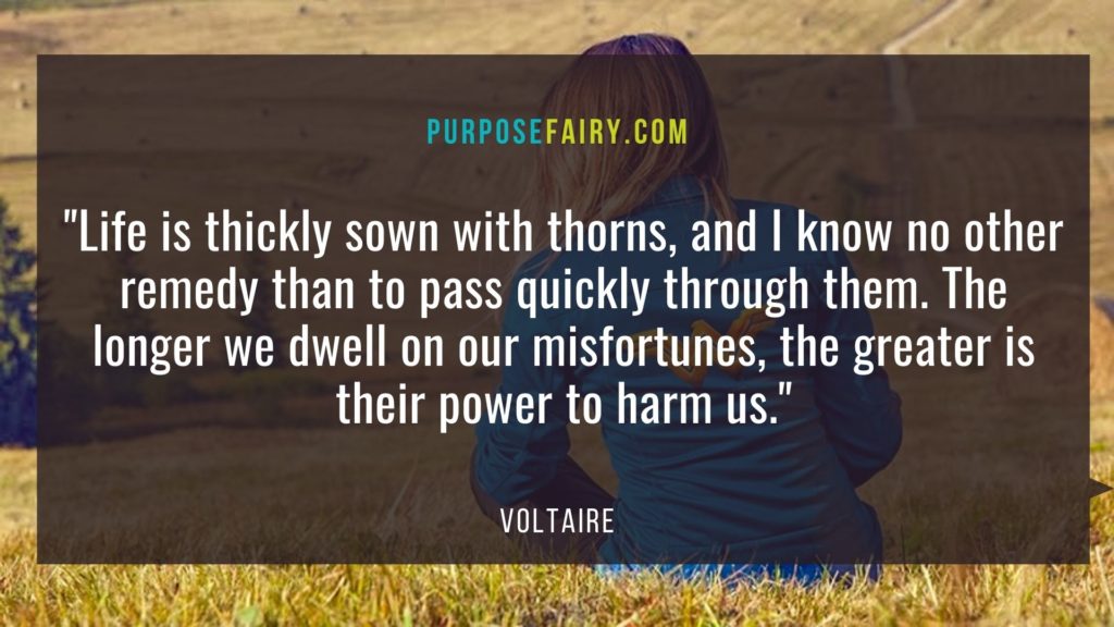 40 Life-Changing Lessons to Learn from Voltaire